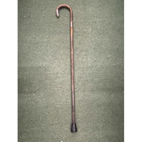 59 - A WALKING CANE WITH A HALLMARKED SILVER FERRULE AND HANDLE TIP