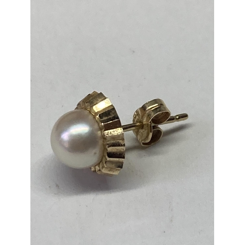 514 - A PAIR OF 9 CARAT GOLD AND PEARL EARRINGS IN A PRESENTATION BOX