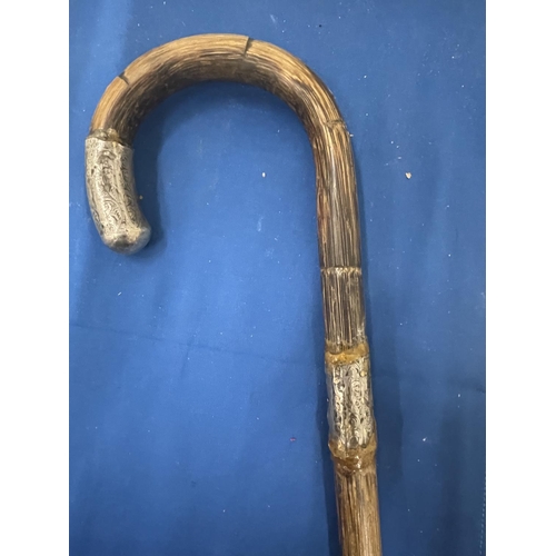 59 - A WALKING CANE WITH A HALLMARKED SILVER FERRULE AND HANDLE TIP