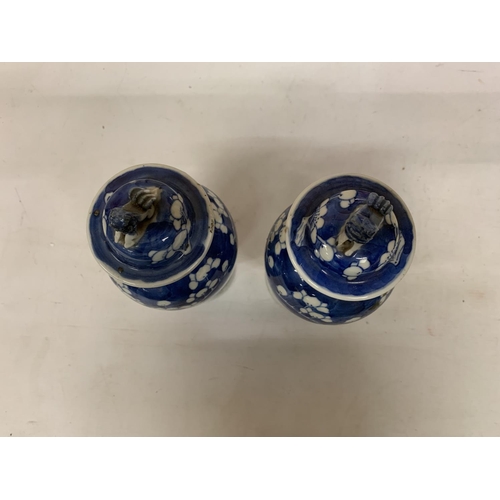 438 - A PAIR OF CHINESE PORCELAIN BLUE AND WHITE PRUNUS PATTERN VASES WITH LID AND FOO DOG FINIAL WITH CHA... 