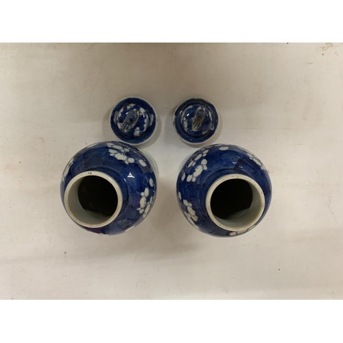 438 - A PAIR OF CHINESE PORCELAIN BLUE AND WHITE PRUNUS PATTERN VASES WITH LID AND FOO DOG FINIAL WITH CHA... 