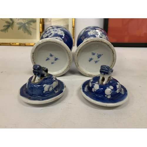 438 - A PAIR OF CHINESE PORCELAIN BLUE AND WHITE PRUNUS PATTERN VASES WITH LID AND FOO DOG FINIAL WITH CHA... 