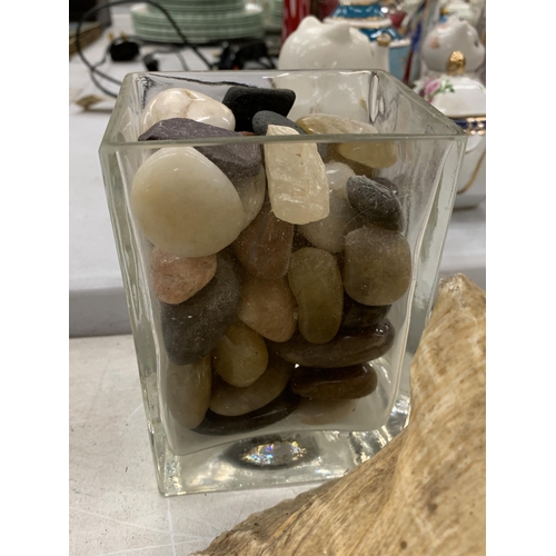 124 - A COLLECTION OF SHELLS AND PEBBLES TO INCLUDE WHITE SCALLOPS, LARGE CONCH, OYSTER SHELLS, ETC.,