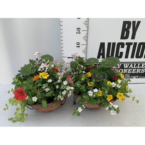 83 - TWO WICKER HANGING BASKETS WITH MIXED BASKET AND TRAILING PLANTS TO INCLUDE PETUNIA, MARIGOLD,GERANI... 