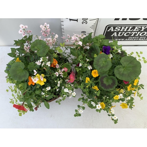 83 - TWO WICKER HANGING BASKETS WITH MIXED BASKET AND TRAILING PLANTS TO INCLUDE PETUNIA, MARIGOLD,GERANI... 