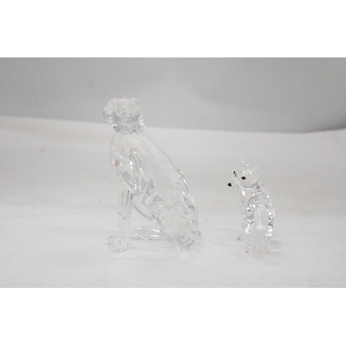 103 - A SWAROVSKI CRYSTAL WOLF PLUS A SWAROVSKI CHEETAH