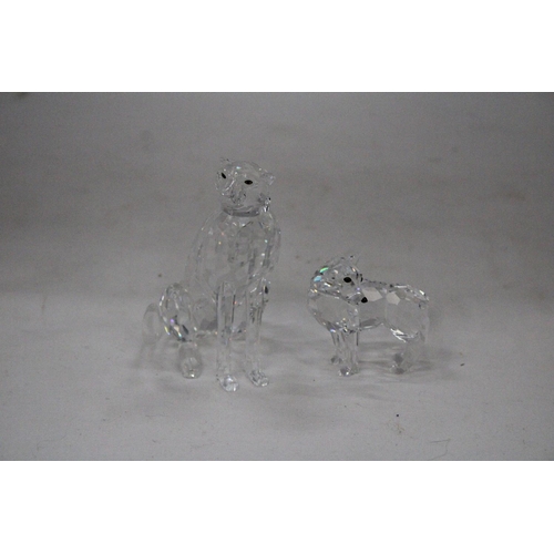 103 - A SWAROVSKI CRYSTAL WOLF PLUS A SWAROVSKI CHEETAH