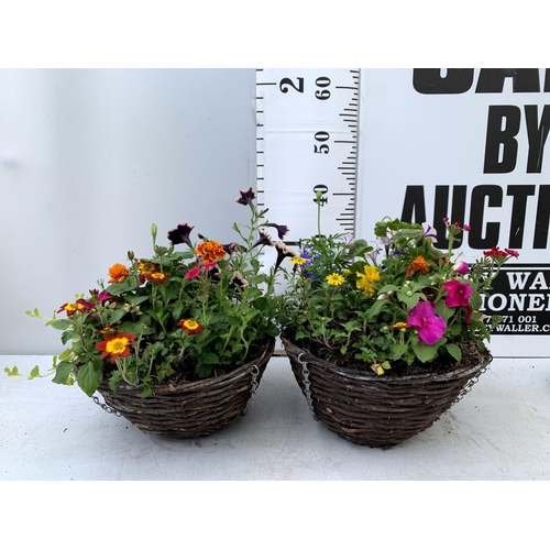 101 - TWO WICKER HANGING BASKETS PLANTED WITH VARIOUS BASKET PLANTS INCLUDING MARIGOLD PETUNIA VERBENA FUC... 