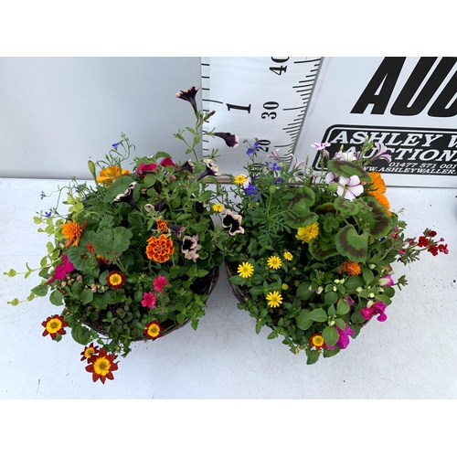 101 - TWO WICKER HANGING BASKETS PLANTED WITH VARIOUS BASKET PLANTS INCLUDING MARIGOLD PETUNIA VERBENA FUC... 