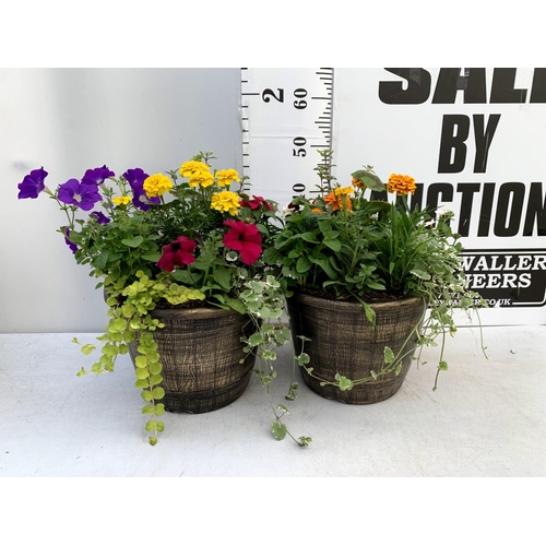 102 - TWO LARGE TUBS PLANTED WITH VARIOUS  PLANTS INC MARIGOLDS PETUNIAS FUCHSIA BACOPA ETC IN 10 LTR POTS... 