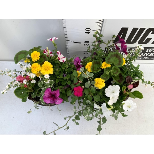 103 - TWO LARGE TUBS PLANTED WITH VARIOUS BASKET PLANTS INC MARIGOLDS PETUNIAS FUCHSIA BACOPA ETC IN 10 LT... 