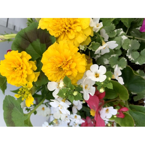 103 - TWO LARGE TUBS PLANTED WITH VARIOUS BASKET PLANTS INC MARIGOLDS PETUNIAS FUCHSIA BACOPA ETC IN 10 LT... 