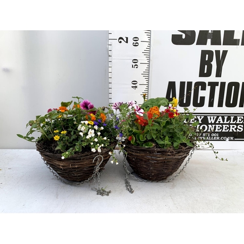 105 - TWO WICKER HANGING BASKETS PLANTED WITH VARIOUS BASKET PLANTS INCLUDING MARIGOLD PETUNIA VERBENA FUC... 