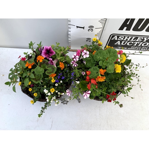 105 - TWO WICKER HANGING BASKETS PLANTED WITH VARIOUS BASKET PLANTS INCLUDING MARIGOLD PETUNIA VERBENA FUC... 