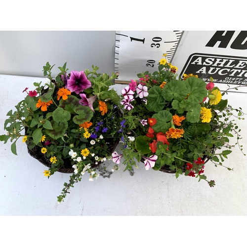 105 - TWO WICKER HANGING BASKETS PLANTED WITH VARIOUS BASKET PLANTS INCLUDING MARIGOLD PETUNIA VERBENA FUC... 