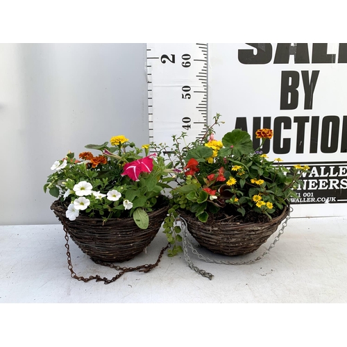 108 - TWO WICKER HANGING BASKETS PLANTED WITH VARIOUS BASKET PLANTS INCLUDING MARIGOLD PETUNIA VERBENA FUC... 