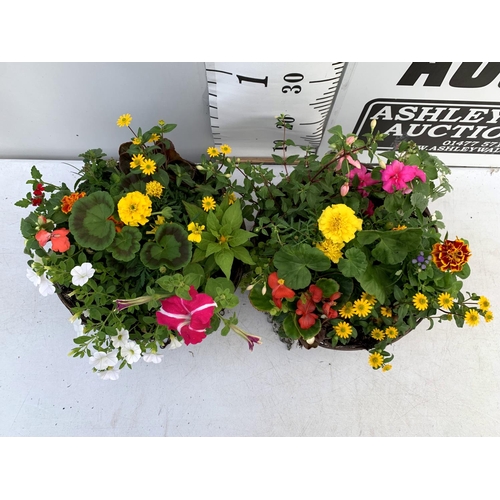 108 - TWO WICKER HANGING BASKETS PLANTED WITH VARIOUS BASKET PLANTS INCLUDING MARIGOLD PETUNIA VERBENA FUC... 