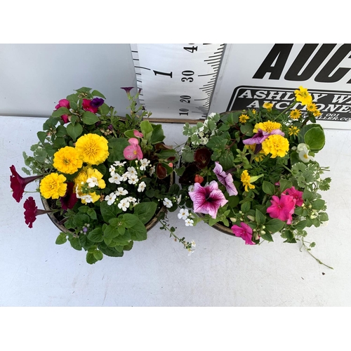 109 - TWO LARGE TUBS PLANTED WITH VARIOUS  PLANTS INC MARIGOLDS PETUNIAS FUCHSIA BACOPA ETC IN 10 LTR POTS... 