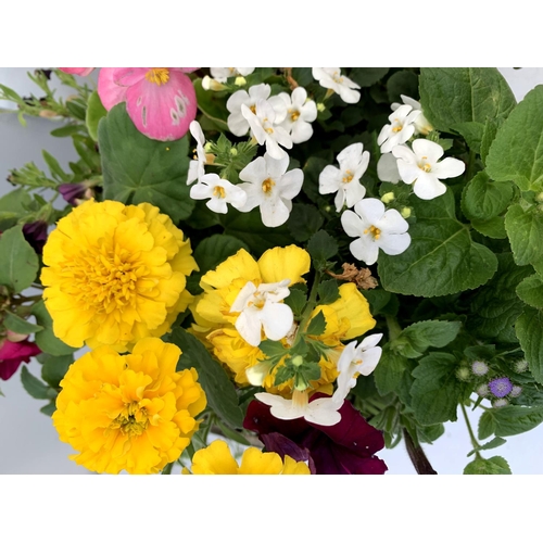 109 - TWO LARGE TUBS PLANTED WITH VARIOUS  PLANTS INC MARIGOLDS PETUNIAS FUCHSIA BACOPA ETC IN 10 LTR POTS... 