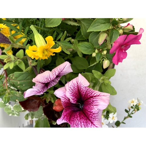 109 - TWO LARGE TUBS PLANTED WITH VARIOUS  PLANTS INC MARIGOLDS PETUNIAS FUCHSIA BACOPA ETC IN 10 LTR POTS... 