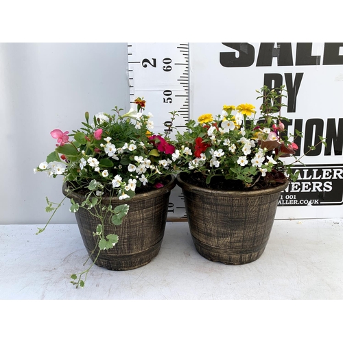 110 - TWO LARGE TUBS PLANTED WITH VARIOUS PLANTS INC MARIGOLDS PETUNIAS FUCHSIA BACOPA ETC IN 10 LTR POTS ... 