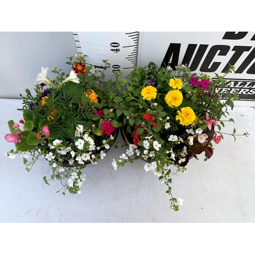 110 - TWO LARGE TUBS PLANTED WITH VARIOUS PLANTS INC MARIGOLDS PETUNIAS FUCHSIA BACOPA ETC IN 10 LTR POTS ... 