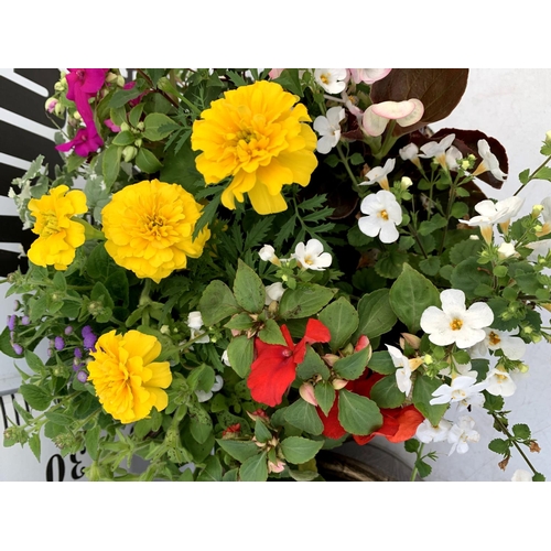 110 - TWO LARGE TUBS PLANTED WITH VARIOUS PLANTS INC MARIGOLDS PETUNIAS FUCHSIA BACOPA ETC IN 10 LTR POTS ... 