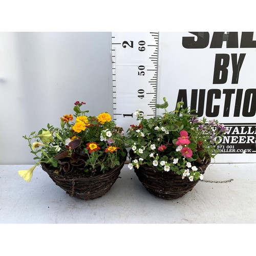 119 - TWO WICKER HANGING BASKETS PLANTED WITH VARIOUS BASKET PLANTS INCLUDING MARIGOLD PETUNIA VERBENA FUC... 