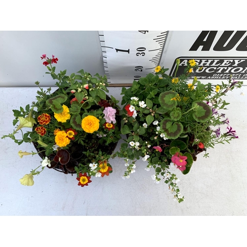 119 - TWO WICKER HANGING BASKETS PLANTED WITH VARIOUS BASKET PLANTS INCLUDING MARIGOLD PETUNIA VERBENA FUC... 