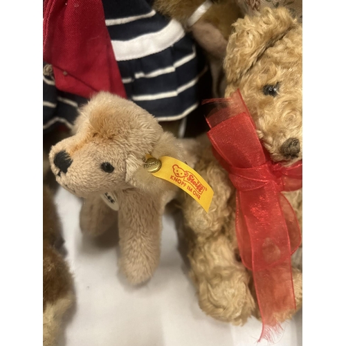 386 - AN ASSORTMENT OF TEDDY BEARS TO INCLUDE A SMALL STEIFF DOG, BOYDS BEARS AND A COLLECTION OF BEAR COL... 