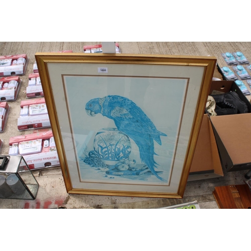 1895 - A LIMITED EDITION 5/100 PRINT OF A PARROT SIGNED K.ROLFE TO LOWER RIGHT CORNER