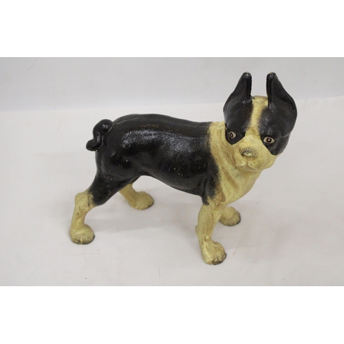 59 - A CAST BOSTON TERRIER FIGURE