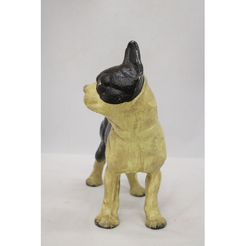 59 - A CAST BOSTON TERRIER FIGURE