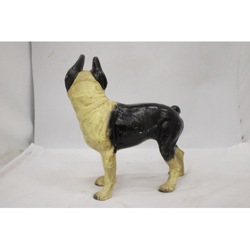 59 - A CAST BOSTON TERRIER FIGURE