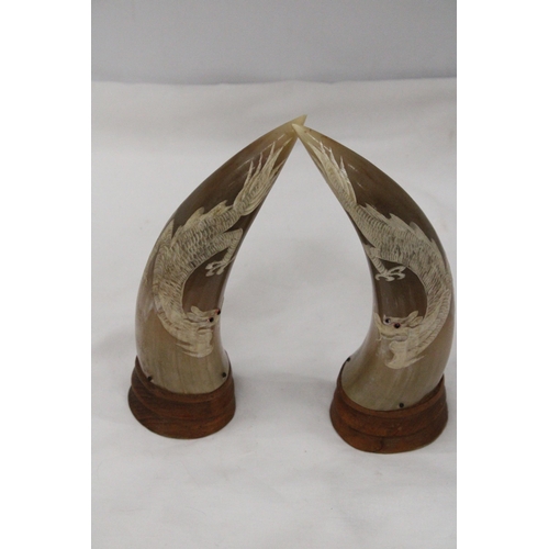 295 - A PAIR OF REAL ORIENTAL HORNS ON WOOD BASES WITH DRAGON DESIGN, HEIGHT 23CM