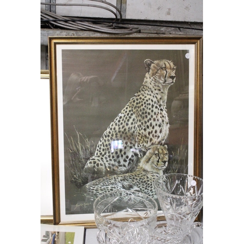 1115 - A FRAMED LIMITED EDITION PRINT (204/500) SIGNED GORDAN HOWARD - CHEETAHS IN THE WILD