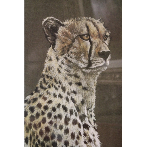 1115 - A FRAMED LIMITED EDITION PRINT (204/500) SIGNED GORDAN HOWARD - CHEETAHS IN THE WILD