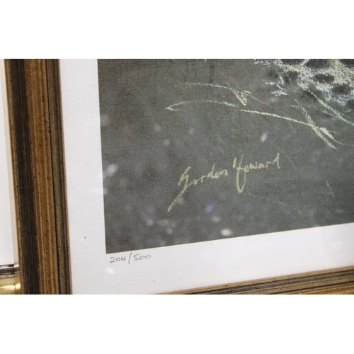 1115 - A FRAMED LIMITED EDITION PRINT (204/500) SIGNED GORDAN HOWARD - CHEETAHS IN THE WILD