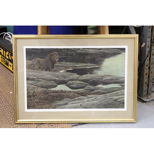 1151 - A LIMITED EDITION, 307/950, PRINT, 'LION AT THE WATERING HOLE', SIGNED BY TOP CANADIAN ARTIST, ROBER... 