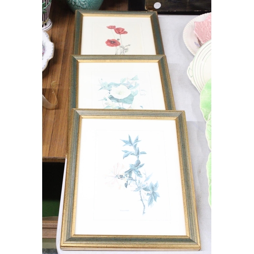 1179 - THREE FRAMED HORTICULTURAL PRINTS