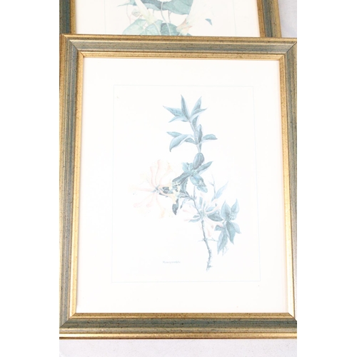 1179 - THREE FRAMED HORTICULTURAL PRINTS