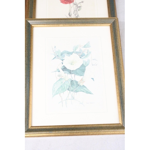 1179 - THREE FRAMED HORTICULTURAL PRINTS