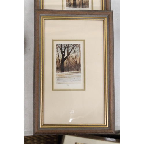 1239 - A SET OF THREE LIMITED EDITION, 33/250, SIGNED PRINTS OF A HOUSE IN THE WOODS