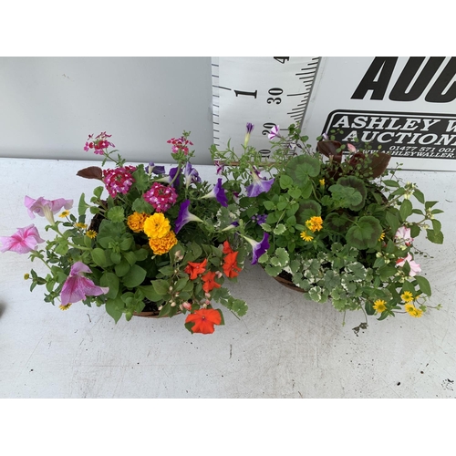 17 - TWO WICKER HANGING BASKETS WITH MIXED BASKET AND TRAILING PLANTS TO INCLUDE PETUNIA, MARIGOLD,GERANI... 