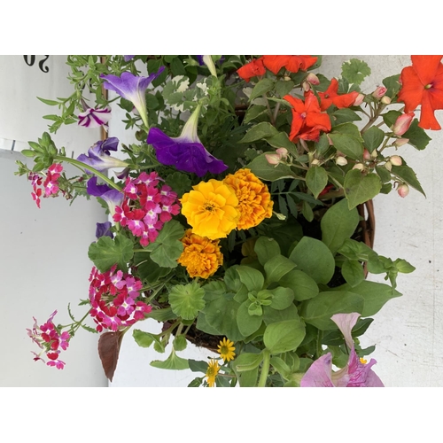 17 - TWO WICKER HANGING BASKETS WITH MIXED BASKET AND TRAILING PLANTS TO INCLUDE PETUNIA, MARIGOLD,GERANI... 