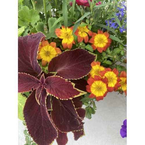 1 - TWO LARGE LONDON HANGING BASKETS FILLED WITH BASKET PLANTS IN FLOWER, 35CM IN DIAMETER, APPROX 45CM ... 