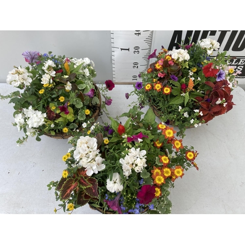 2 - THREE LARGE LONDON HANGING BASKETS FILLED WITH BASKET PLANTS IN FLOWER, 35CM IN DIAMETER, APPROX 45C... 