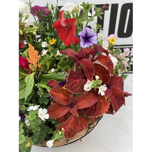 2 - THREE LARGE LONDON HANGING BASKETS FILLED WITH BASKET PLANTS IN FLOWER, 35CM IN DIAMETER, APPROX 45C... 