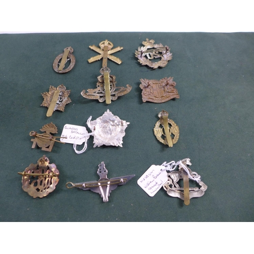 318 - A COLLECTION OF TWELVE MILITARY BADGES, TO INCLUDE PARACHUTE REGIMENT, MACHINE GUN CORPS ETC