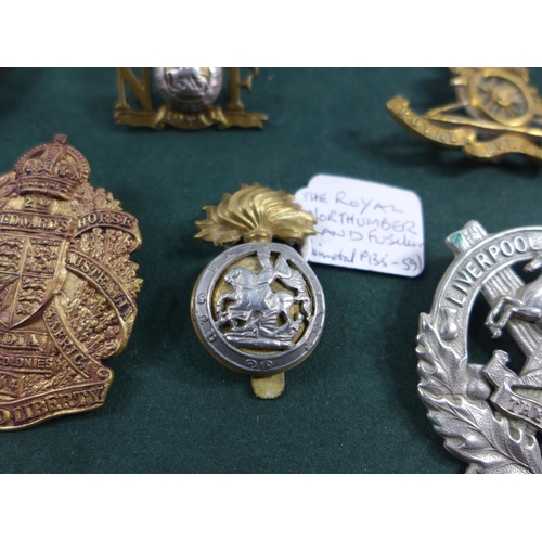 319 - A COLLECTION OF NINETEEN MILITARY BADGES, TO INCLUDE ORDNANCE CORP, COLDSTREAM GUARDS ETC